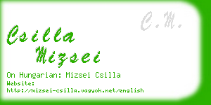 csilla mizsei business card